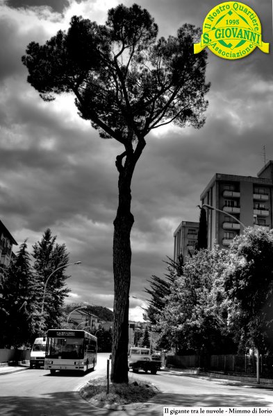 il_gigante_tra_le_nuvole